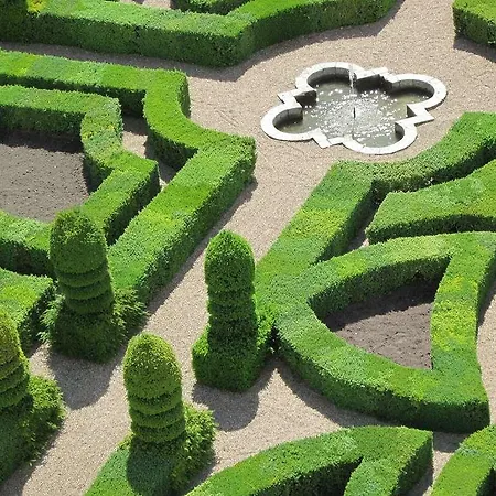 The Originals City, Gare קולמר